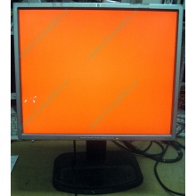 Монитор 19" TFT HP 1955 (DVI в Каменске-Уральском, USB-хаб) "квадратный" (Каменск-Уральский)
