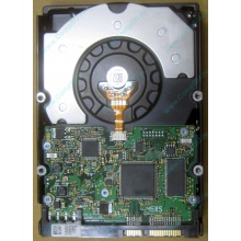 HDD Sun 500G 500Gb в Каменске-Уральском, FRU 540-7889-01 в Каменске-Уральском, BASE 390-0383-04 в Каменске-Уральском, AssyID 0069FMT-1010 в Каменске-Уральском, HUA7250SBSUN500G (Каменск-Уральский)