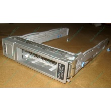 Салазки Sun 350-1386-04 в Каменске-Уральском, 330-5120-04 1 для HDD (Каменск-Уральский)