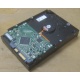 Жесткий диск HP 250Gb 7200 rpm 432337-001/ 399699-001 / 397377-004 (Каменск-Уральский)
