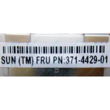 Серверная память SUN (FRU PN 371-4429-01) 4096Mb (4Gb) DDR3 ECC в Каменске-Уральском, память для сервера SUN FRU P/N 371-4429-01 (Каменск-Уральский)