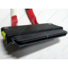 SATA-кабель для корзины HDD HP 451782-001 459190-001 для HP ML310 G5 (Каменск-Уральский)