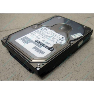 Жесткий диск 18.2Gb IBM Ultrastar DDYS-T18350 Ultra3 SCSI (Каменск-Уральский)