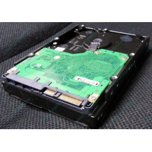 Жесткий диск 600Gb 15k Dell 9FN066-008 6G SAS ( Seagate Cheetach ST3600057SS 15K.7) - Каменск-Уральский