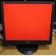 Монитор 19" ViewSonic VA903b (1280x1024) есть битые пиксели (Каменск-Уральский)