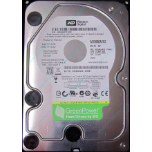 Жесткий диск 500Gb Western Digital WD5000AVVS 5400 rpm SATA (Каменск-Уральский)