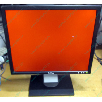 Dell E197F P в Каменске-Уральском, монитор 19" TFT Dell E197FPb (Каменск-Уральский)