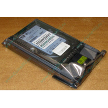 Жёсткий диск 146.8Gb HP 365695-008 404708-001 BD14689BB9 256716-B22 MAW3147NC 10000 rpm Ultra320 Wide SCSI купить в Каменске-Уральском, цена (Каменск-Уральский).