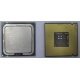 Процессор Intel Celeron D 336 (2.8GHz /256kb /533MHz) SL98W s.775 (Каменск-Уральский)