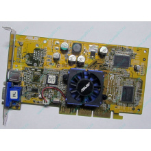 Видеокарта Asus V8170 64Mb nVidia GeForce4 MX440 AGP Asus V8170DDR (Каменск-Уральский)