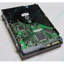 Жесткий диск 80Gb HP 5188-1894 9W2812-630 345713-005 Seagate ST380013AS SATA (Каменск-Уральский)