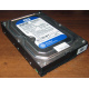 Жесткий диск 500Gb WD WD5000AAKX HP 634605-003 613208-001 7.2k SATA (Каменск-Уральский)