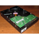 Жесткий диск 500Gb HP 634605-003 613208-001 WD WD5000AAKX 7.2k SATA (Каменск-Уральский)