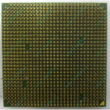Процессор AMD Sempron 3000+ (1.6GHz) SDA3000IAA3CN s.AM2 (Каменск-Уральский)